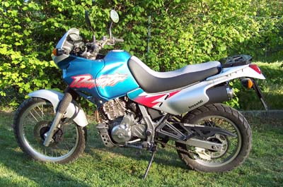 dominator motorls