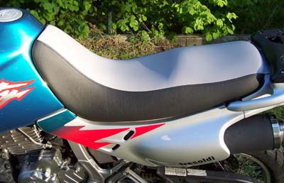 dominator motorls